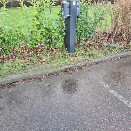 Bayer Copenhagen * تائستروب